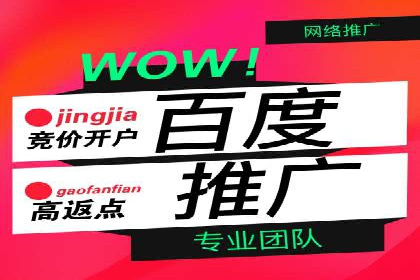 案例分析：百度推广效果优化技巧